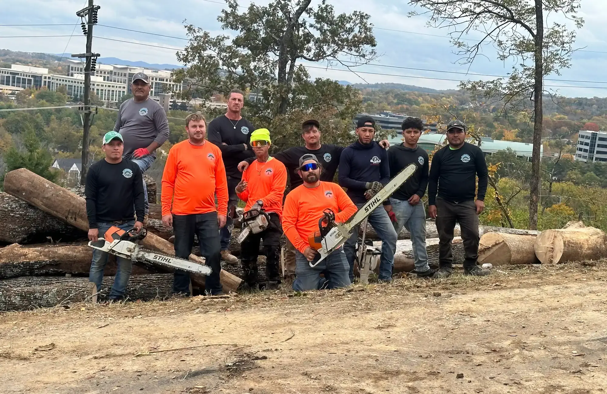 About Sky Tree Service in Nashville TN